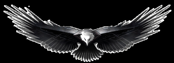 展翅飞翔的老鹰图片免抠png透明图层素材