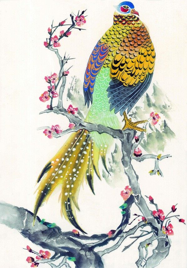 花鸟中国画51
