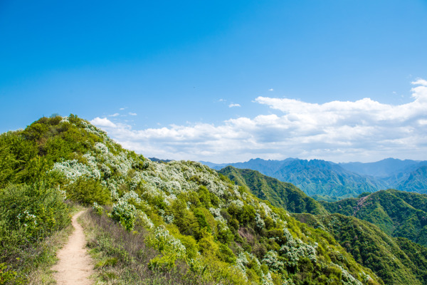 大山