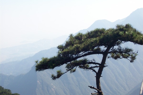 庐山风景图片