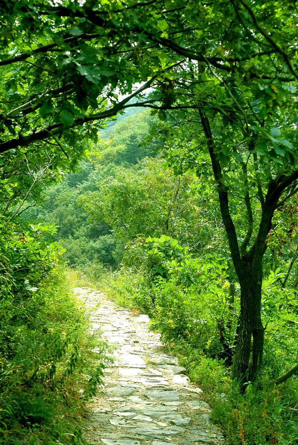 自然风光山间小路