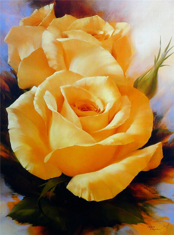 玫瑰花卉黄色图片