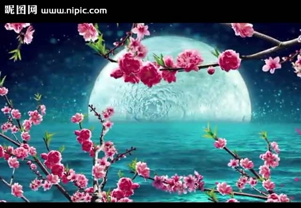 梅花月亮湖水视频素材