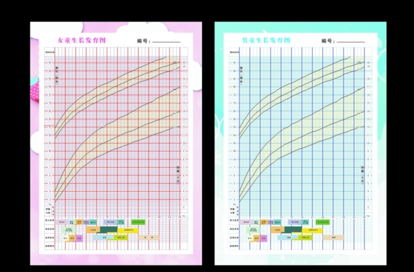男童女童生长发育图