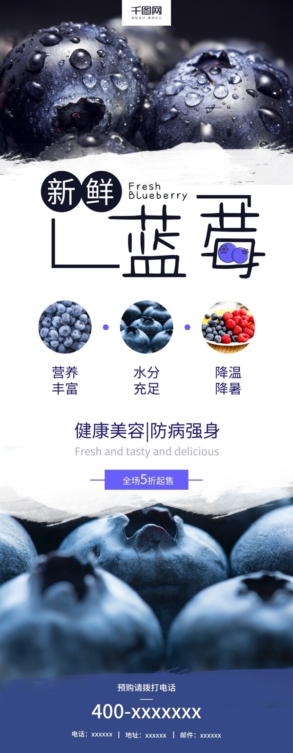 新鲜蓝莓水果上市促销宣传展架