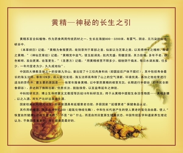 酒广告图片