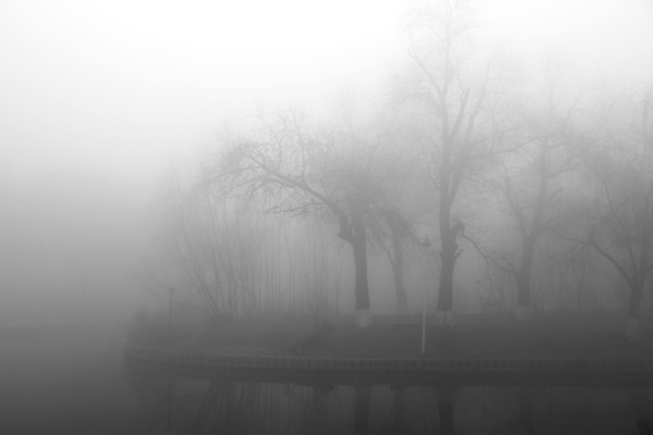 大雾弥漫图片