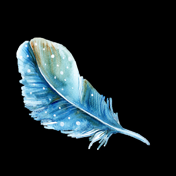 蓝色羽毛png元素