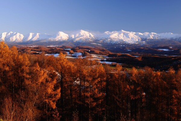 雪景图片