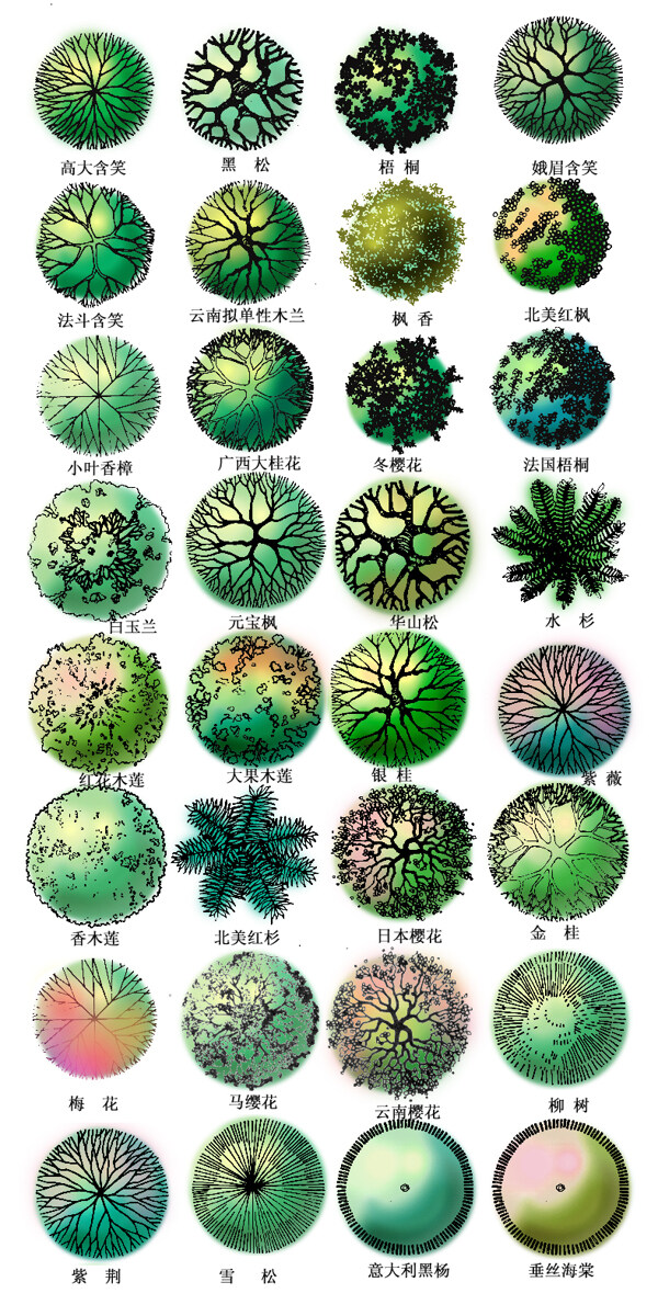 PS植物图例素材