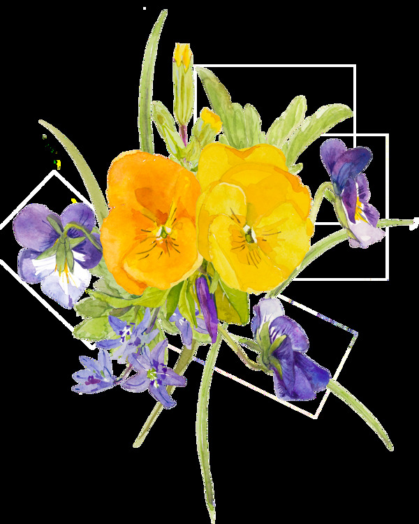 黄色水彩手绘花朵植物透明素材