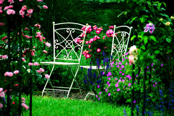后花园田园绿地椅子