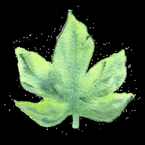 绿色枫叶卡通水彩透明素材