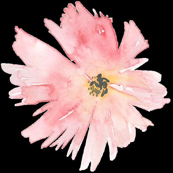 翠粉花瓣透明装饰素材