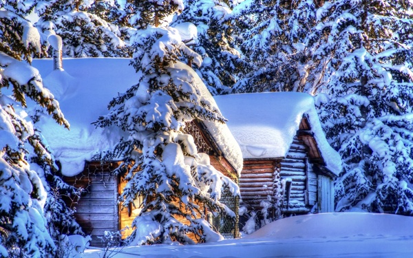 雪景