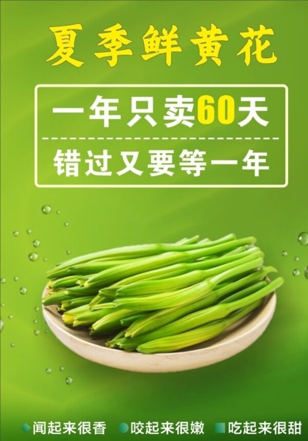 黄花菜海报