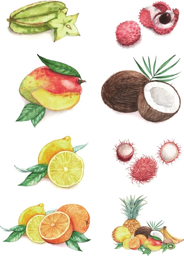 手绘美味的水果插画