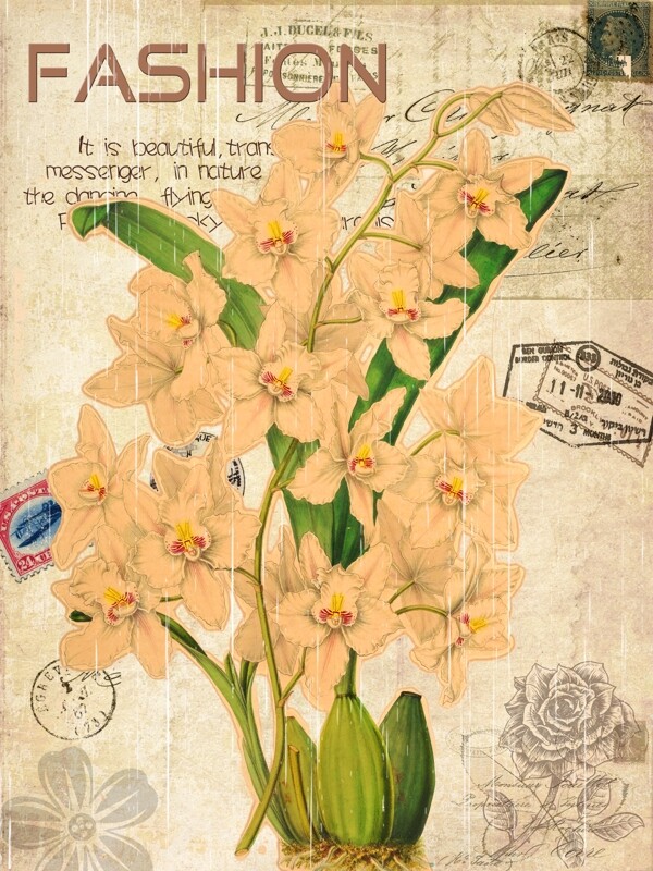 古典花卉装饰画