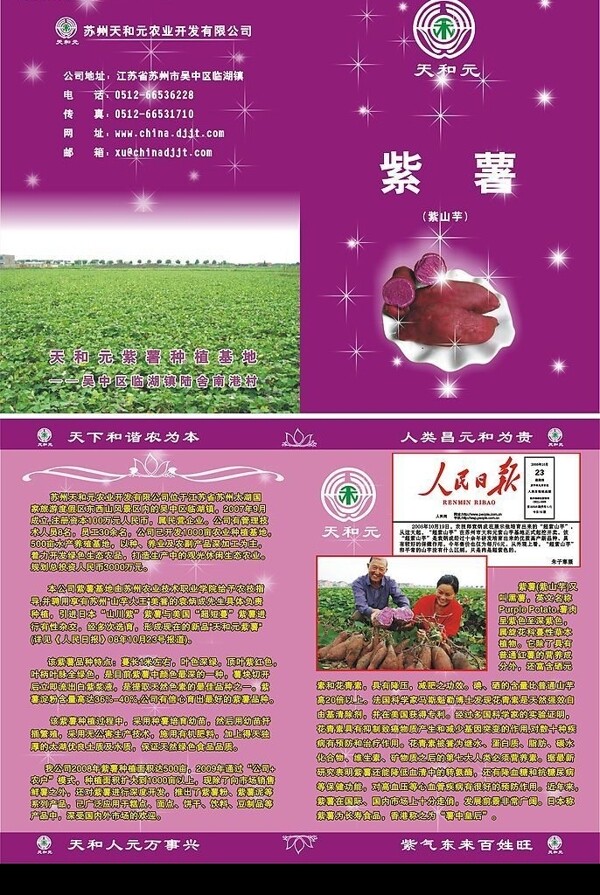 紫薯宣传单图片