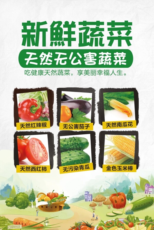 天然无公害蔬菜海报图片