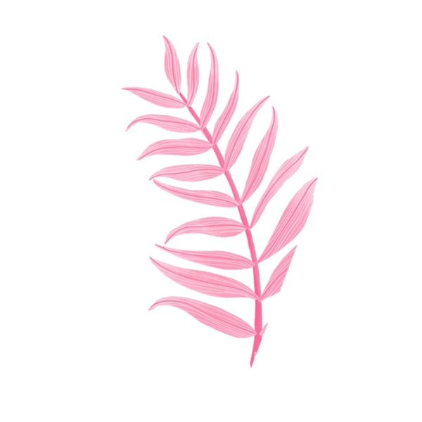 卡通粉色植物装饰