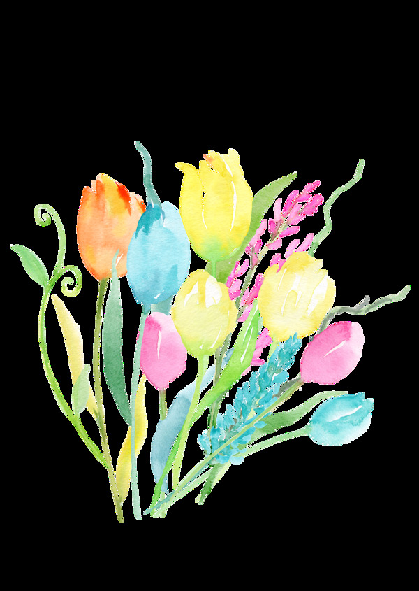 五彩缤纷花卉手绘透明素材