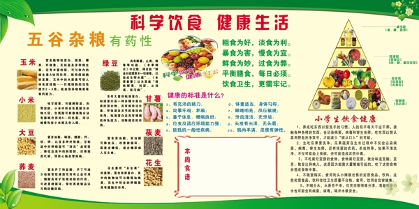 科学饮食健活