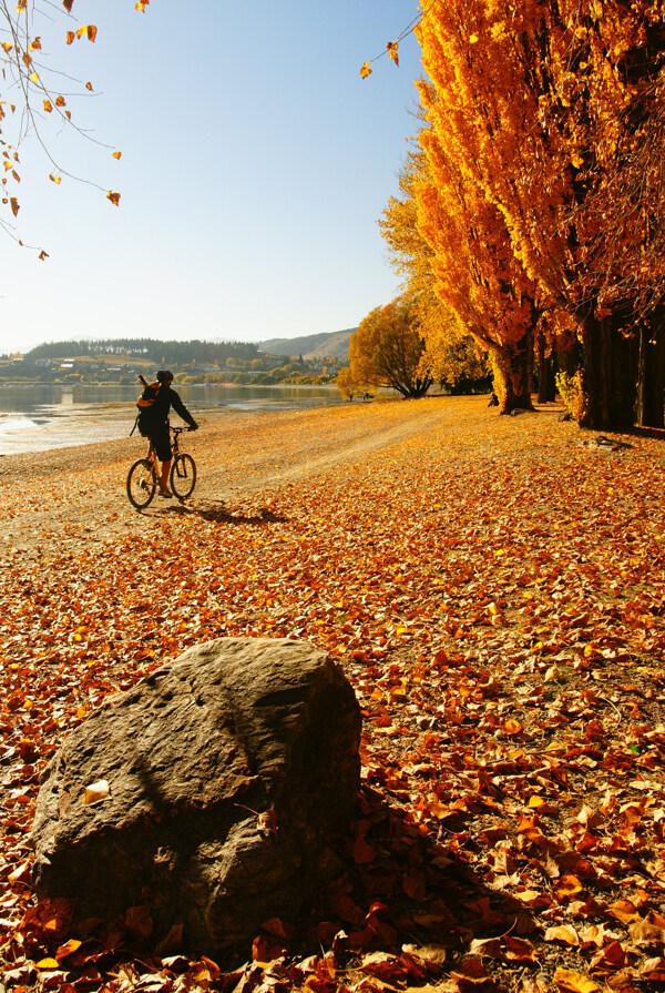 自然景观秋天图片
