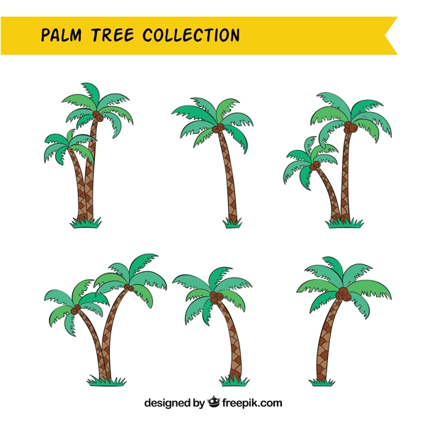 各种棕榈椰子树