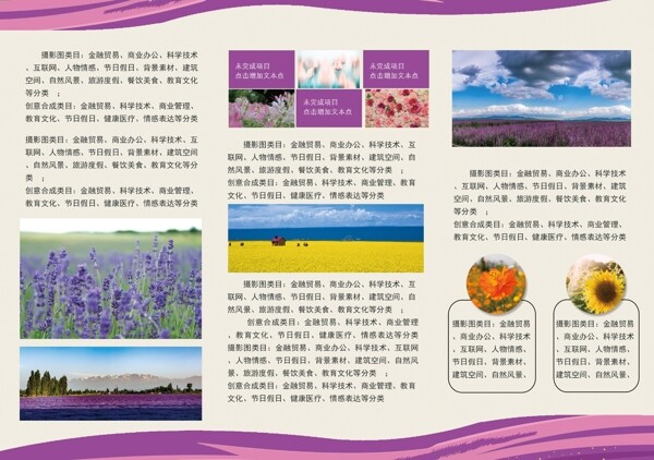 鲜花种植基地宣传三折页