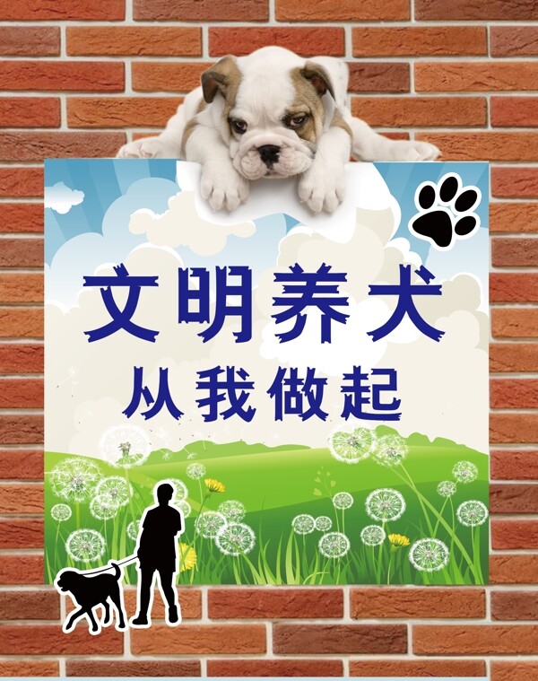 文明养犬