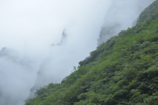 山林云海