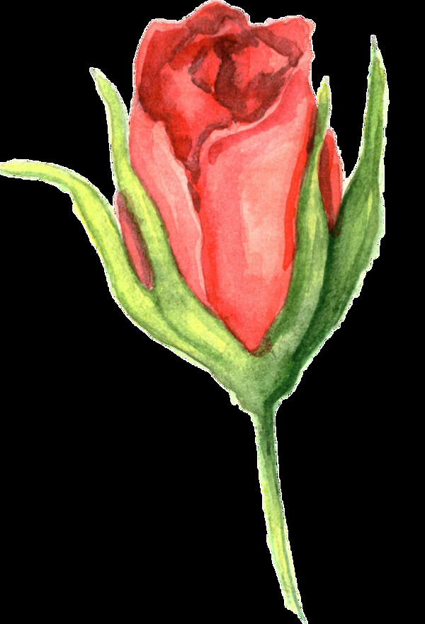 鑫红玫瑰卡通透明素材