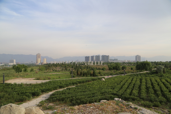 大武口奇石山风光图片