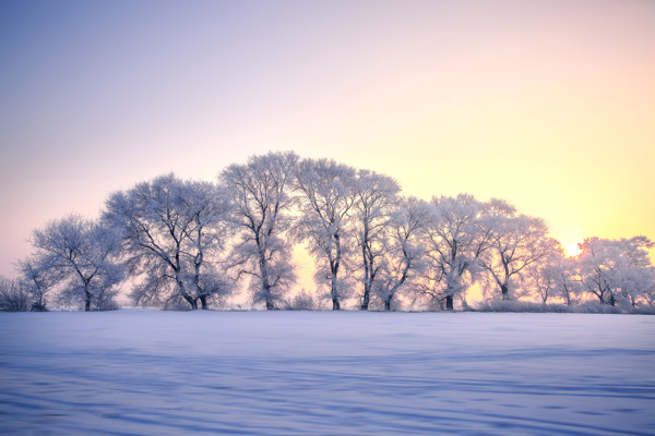 雪景