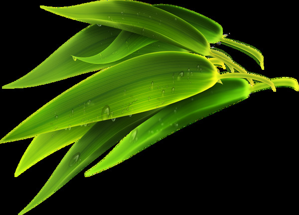 绿色水滴竹叶png元素素材