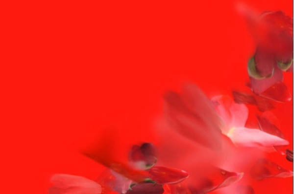 红色婚庆视频背景模板片头LED大屏幕