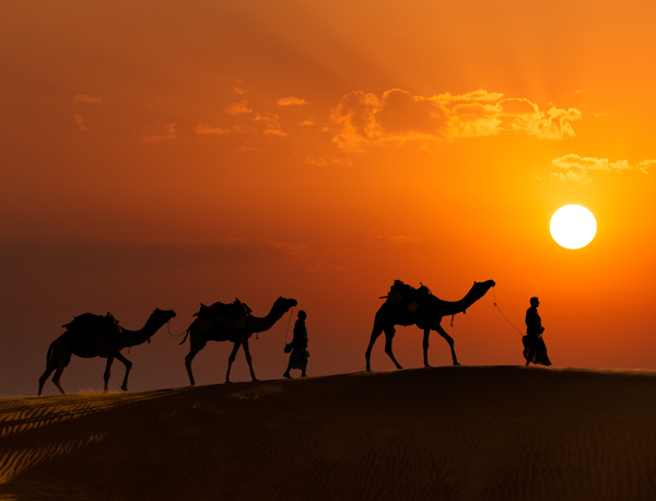 在沙漠牵骆驼看日出的人