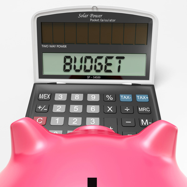 预算计算器显示会计和管理报告