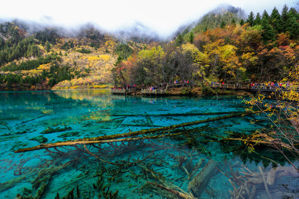 九寨沟五花海图片