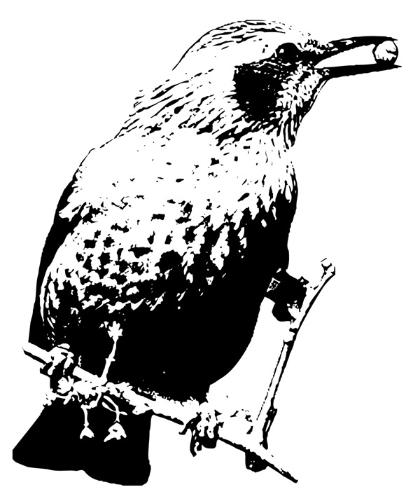 全球首席大百科水墨黑白笔刷鸟拓印