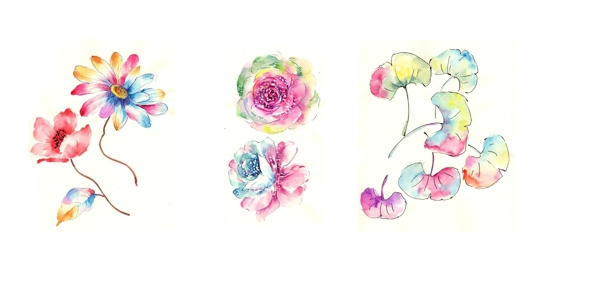 清新浪漫的手绘水彩花卉