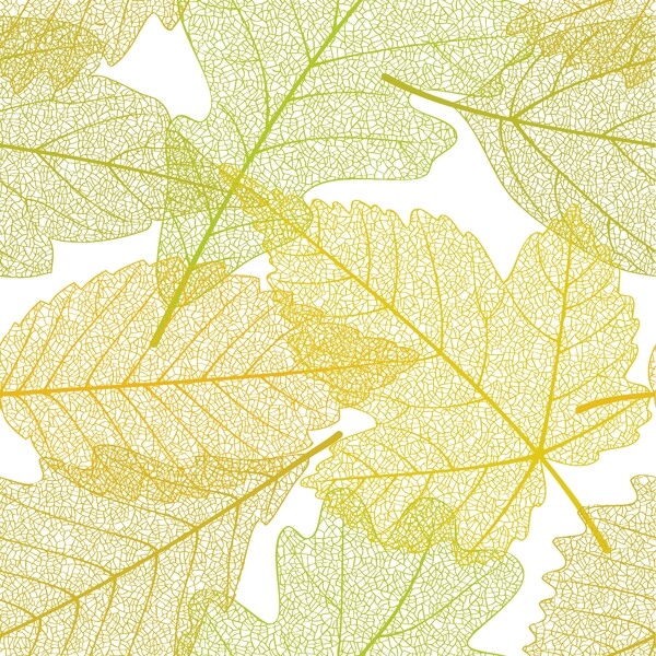 手绘线条树叶背景图片