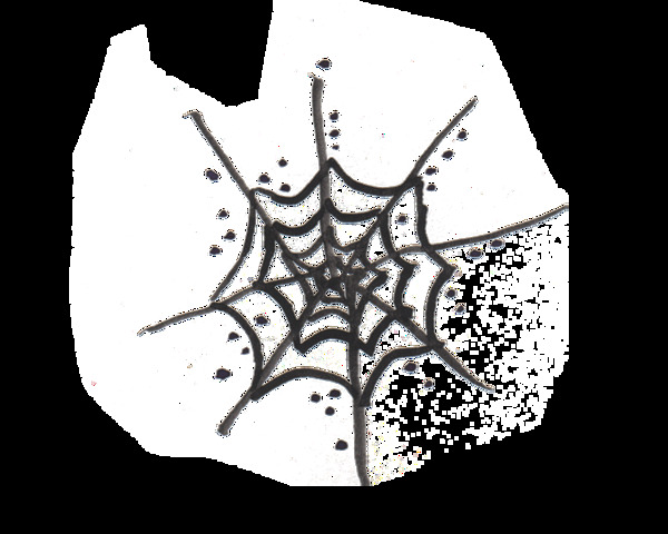 黑白蜘蛛网水彩手绘透明素材
