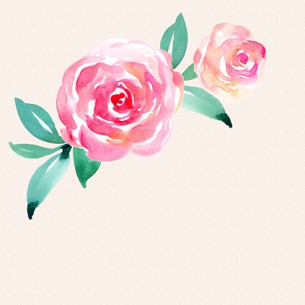 PSD分层手绘水彩花卉玫瑰牡丹
