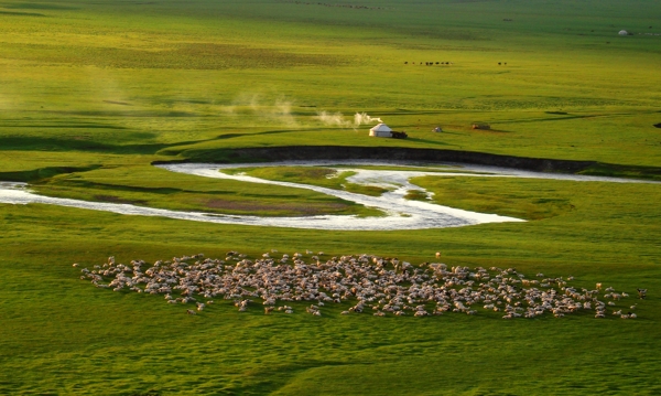 草原牧羊图图片
