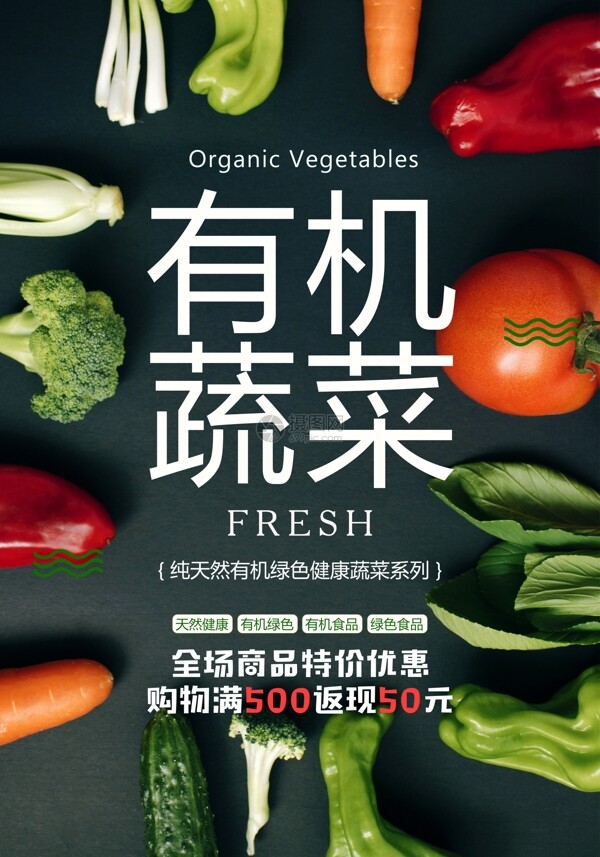 有机蔬菜绿色食品海报
