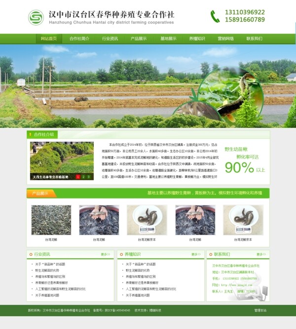 农业泥鳅养殖网站