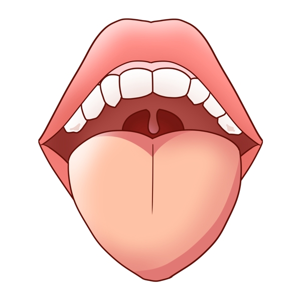 人体嘴巴舌头器官