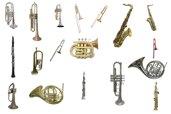 各种吹奏乐器图片